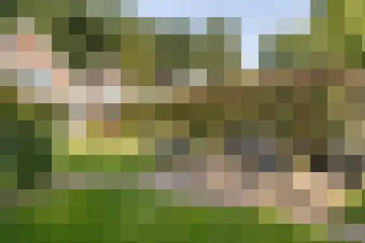 Molenweg 7 A Harskamp thumbnail 28