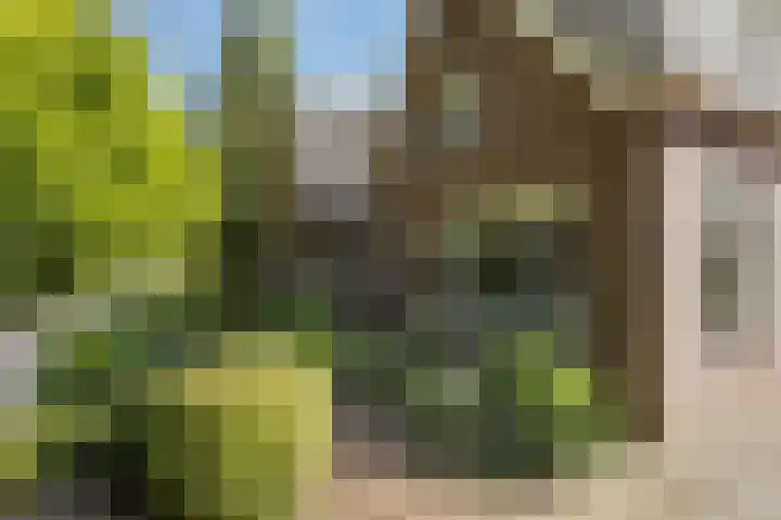 Molenweg 7 A Harskamp thumbnail 30