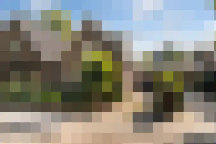 Molenweg 7 A Harskamp thumbnail 31
