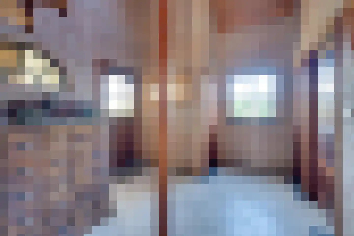 Molenweg 7 Heerhugowaard thumbnail 10