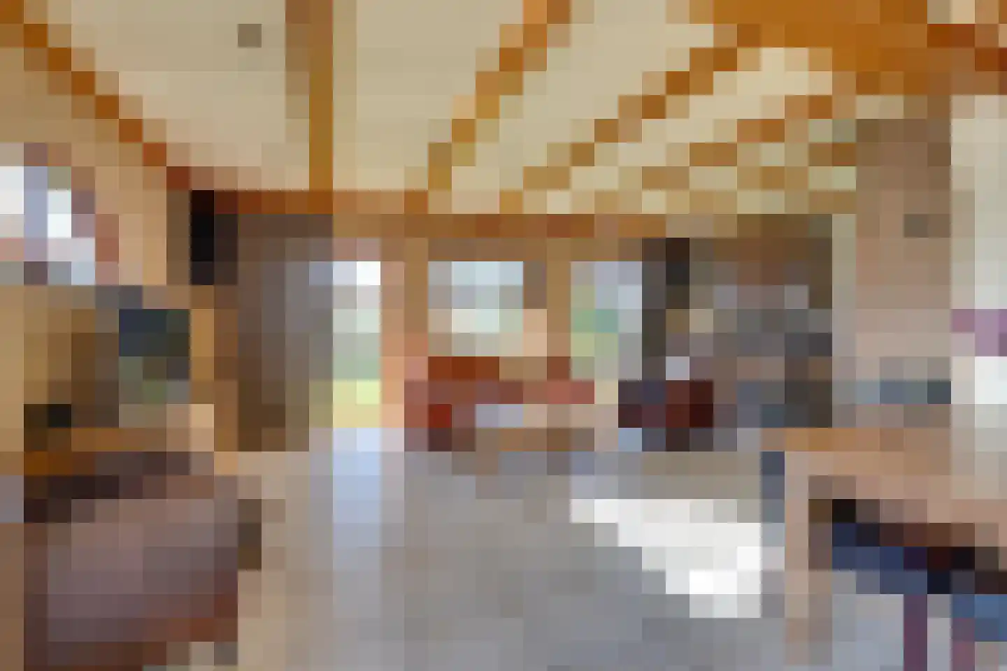Molenweg 7 Heerhugowaard thumbnail 14