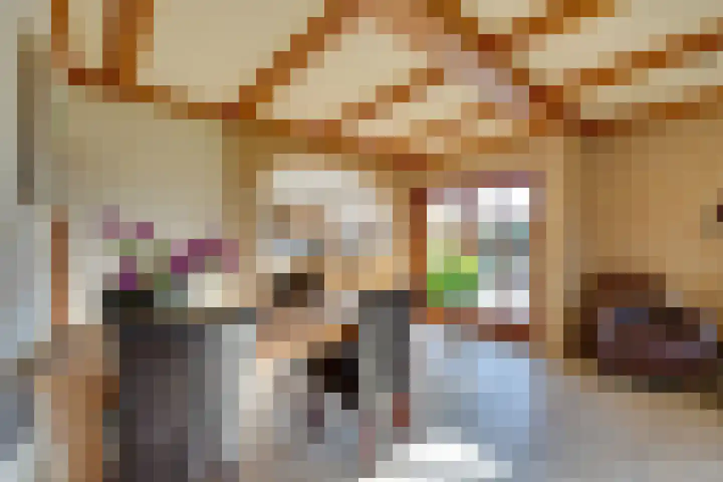 Molenweg 7 Heerhugowaard thumbnail 21
