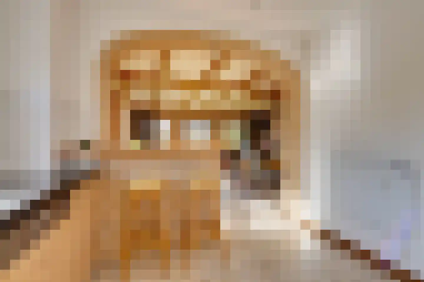 Molenweg 7 Heerhugowaard thumbnail 30