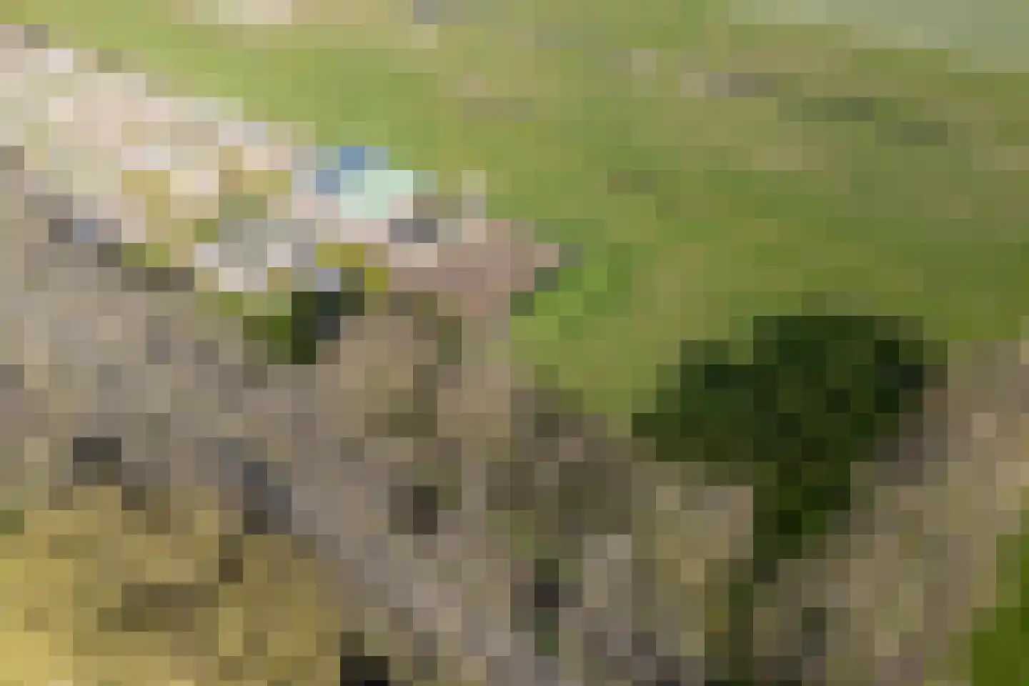 Molenweg 7 Heerhugowaard thumbnail 76