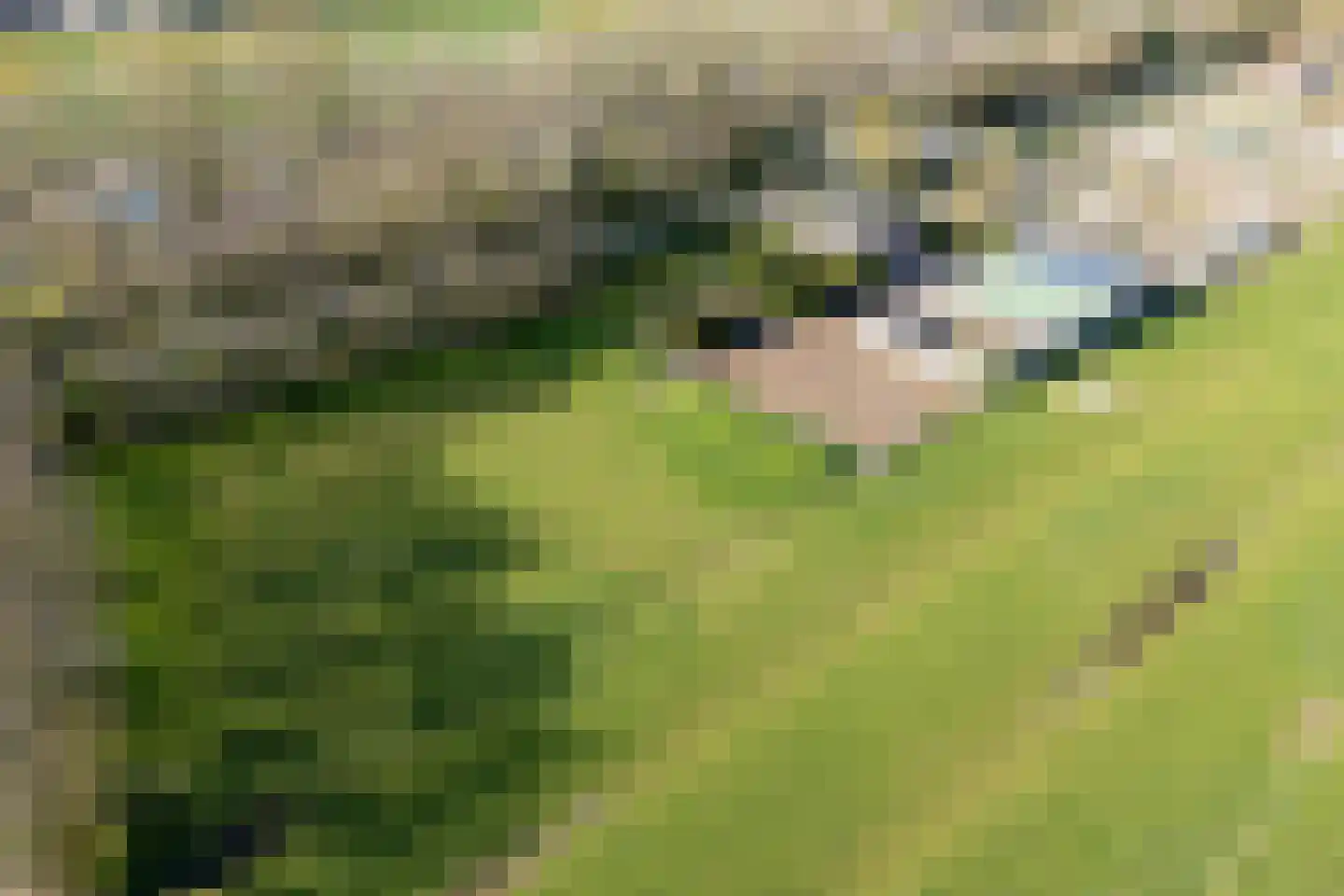 Molenweg 7 Heerhugowaard thumbnail 78