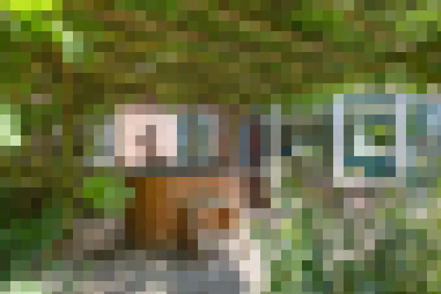 Molenweg 7 Odoorn thumbnail 33