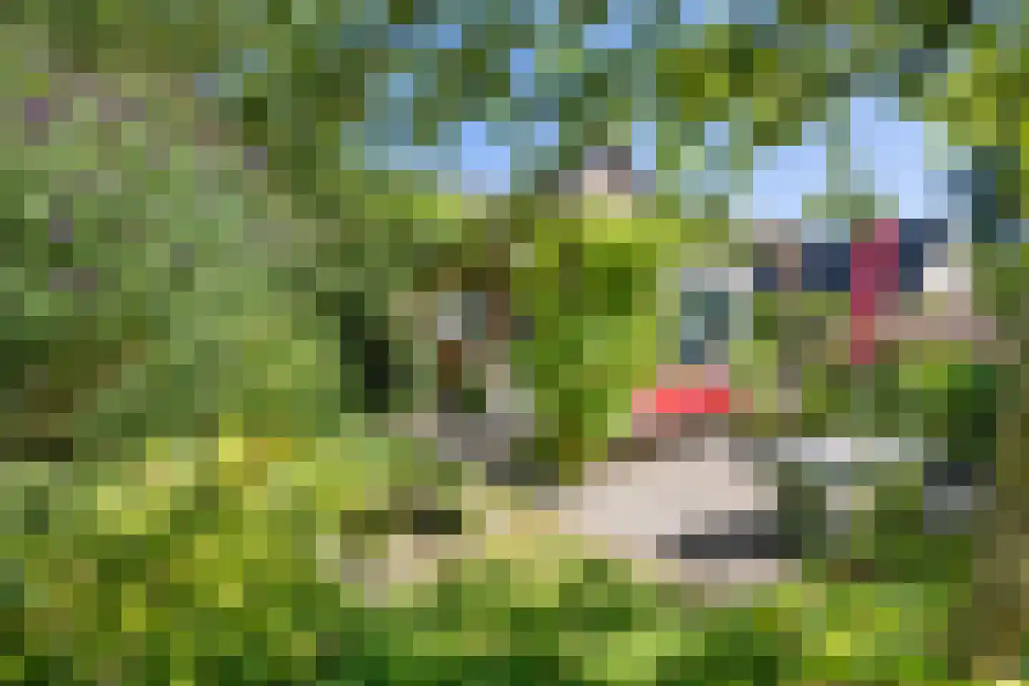 Molenweg 7 Odoorn thumbnail 34