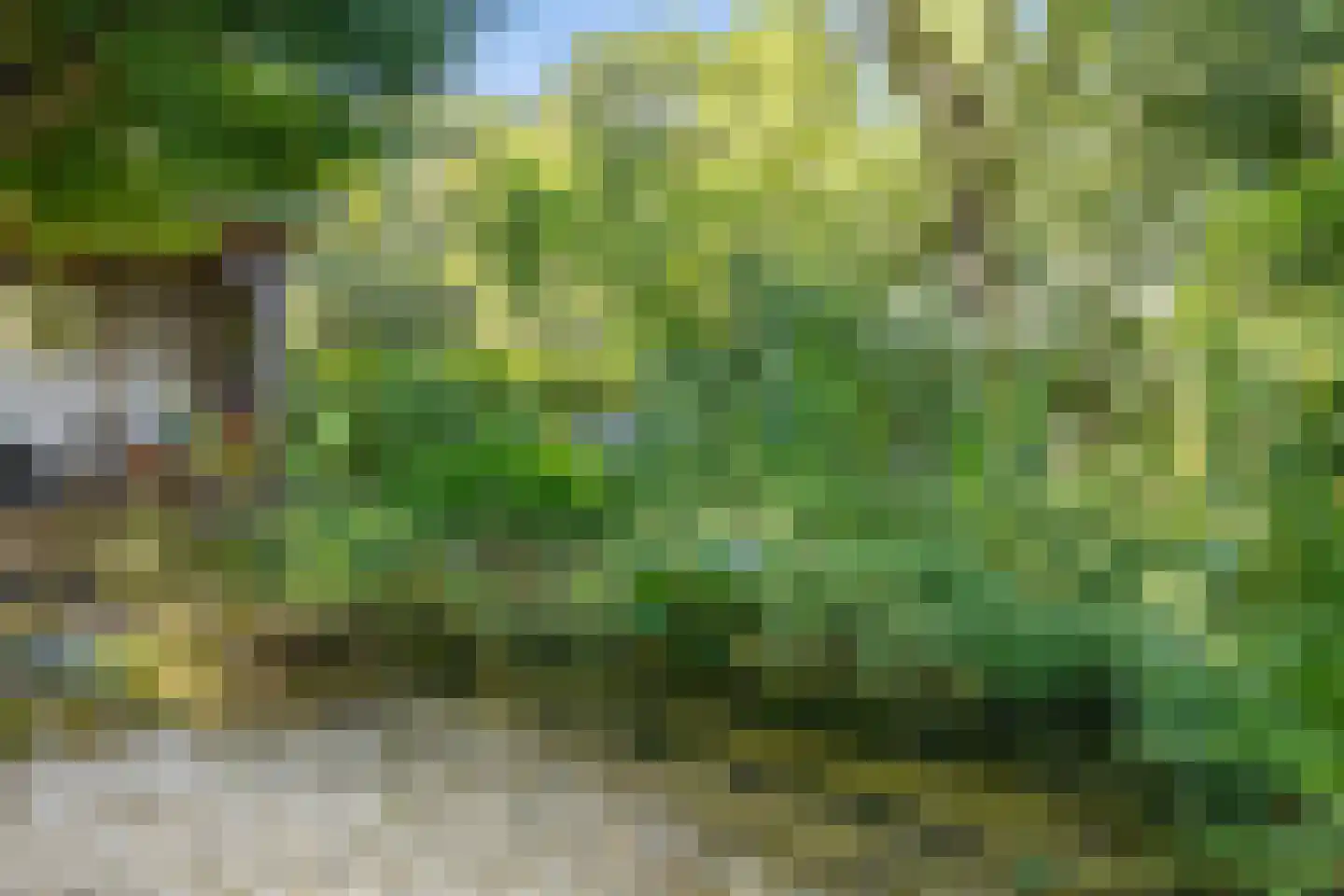 Molenweg 7 Odoorn thumbnail 35