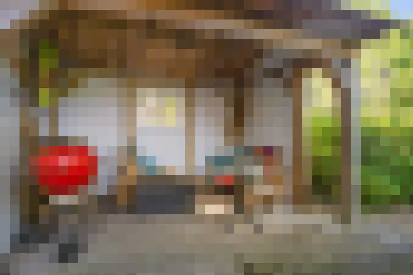 Molenweg 7 Odoorn thumbnail 36