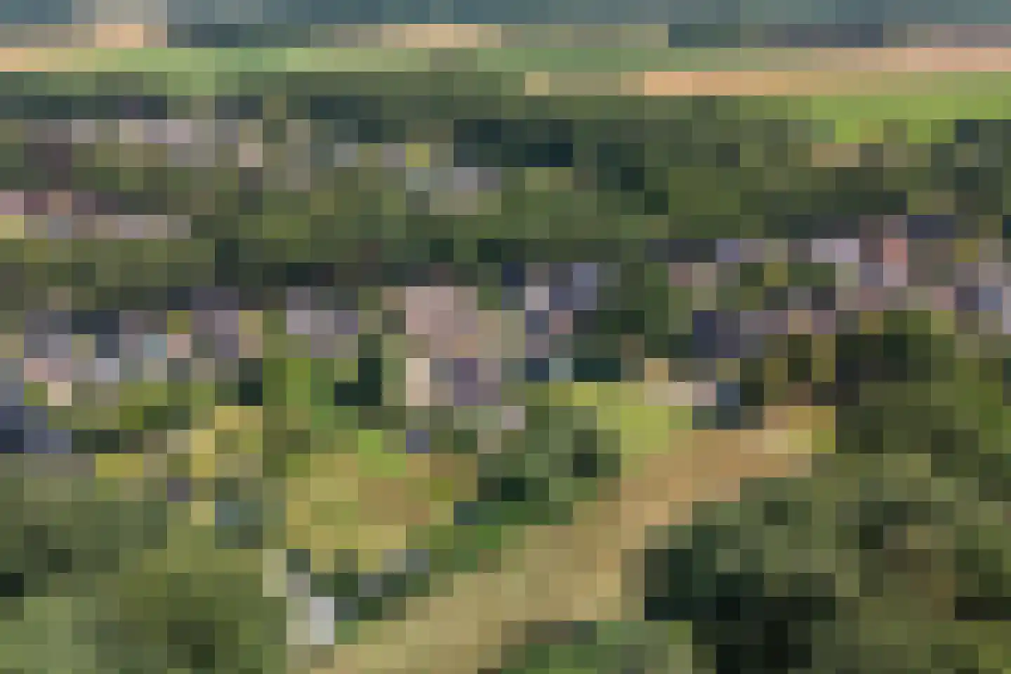 Molenweg 7 Odoorn thumbnail 39