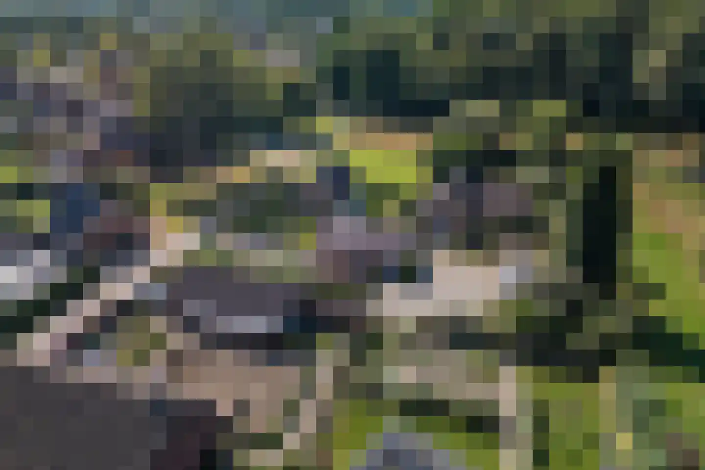 Molenweg 7 Odoorn thumbnail 40