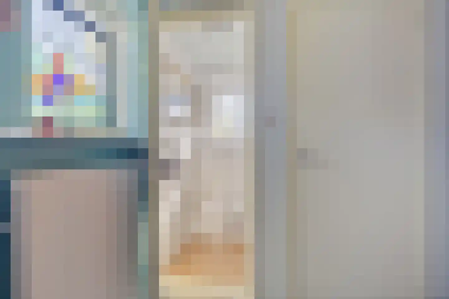 Molenweg 7 Odoorn thumbnail 6
