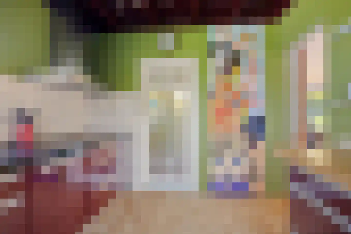 Molenweg 7 Odoorn thumbnail 9