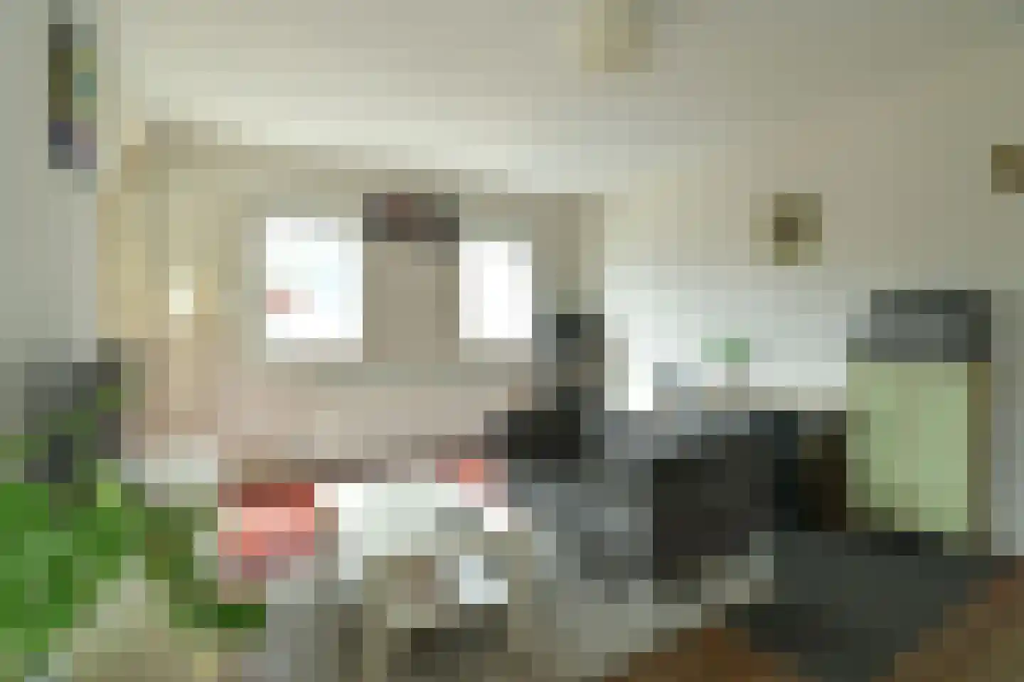 Molenweg 7 Oosterbeek thumbnail 15