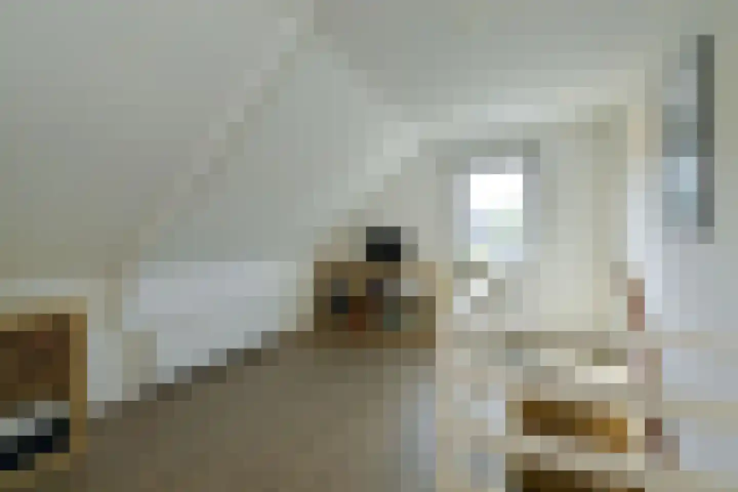 Molenweg 7 Oosterbeek thumbnail 20