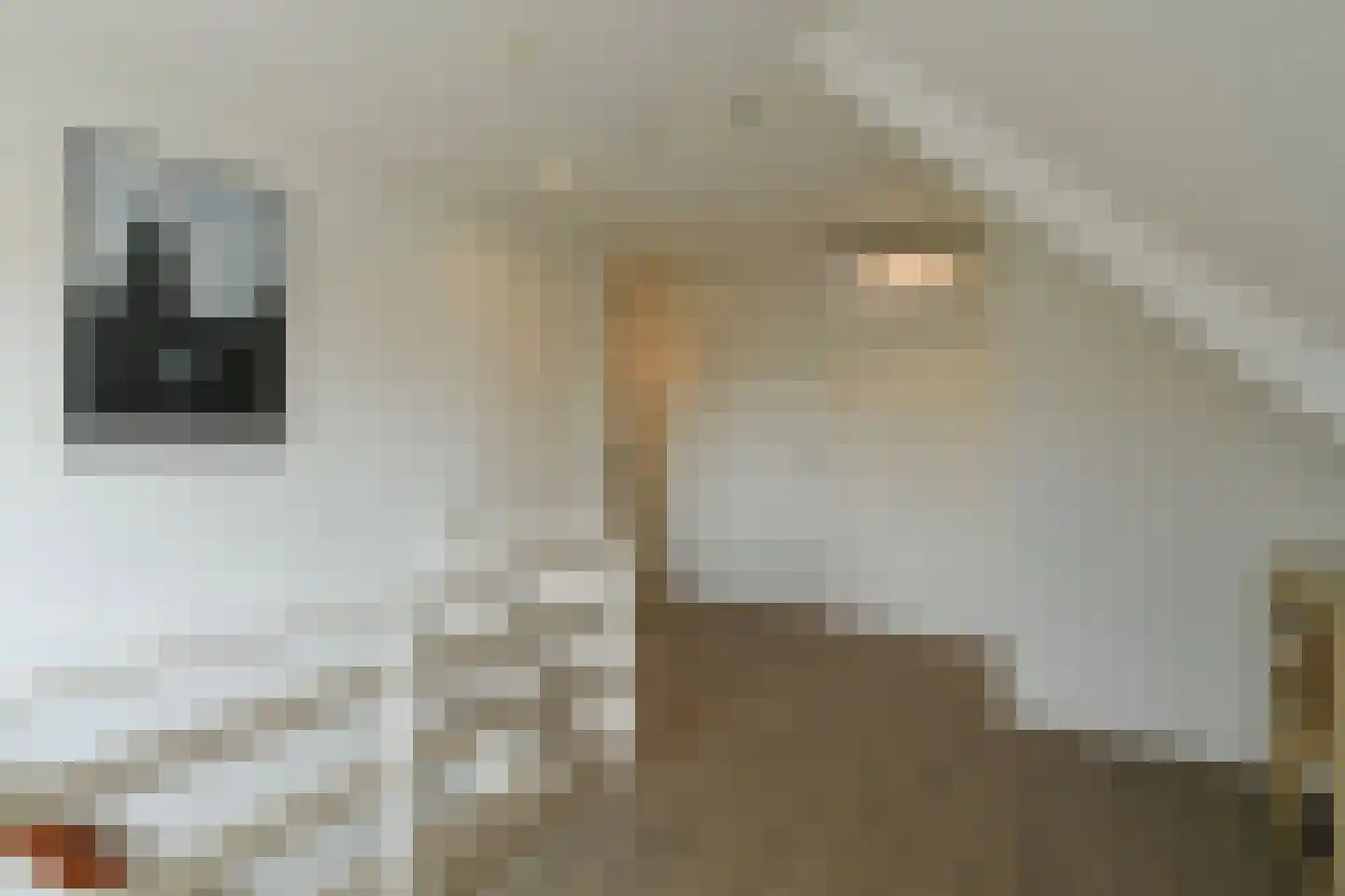 Molenweg 7 Oosterbeek thumbnail 21