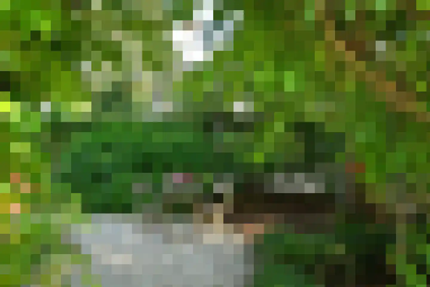 Molenweg 7 Oosterbeek thumbnail 34