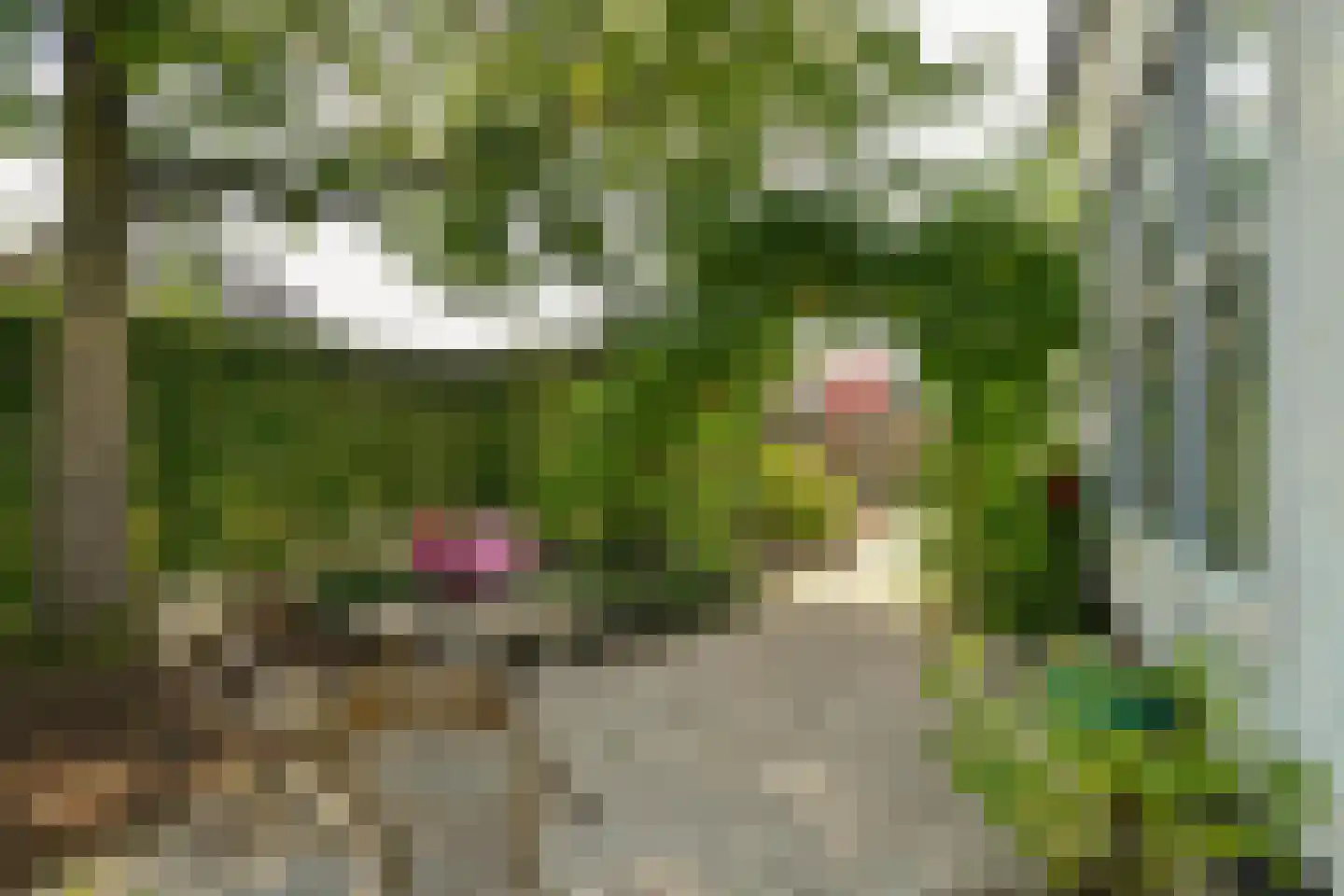 Molenweg 7 Oosterbeek thumbnail 36