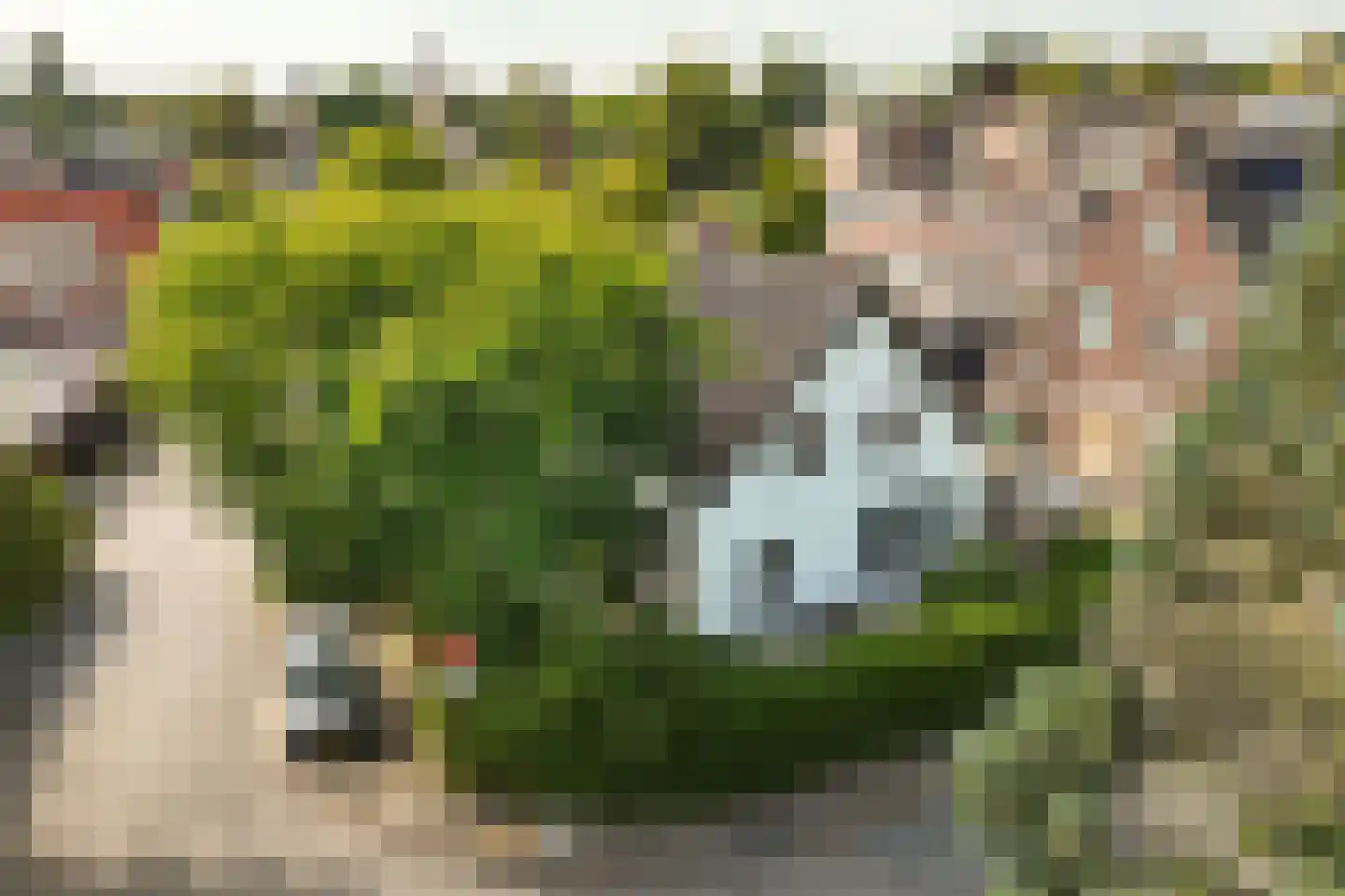 Molenweg 7 Oosterbeek thumbnail 38