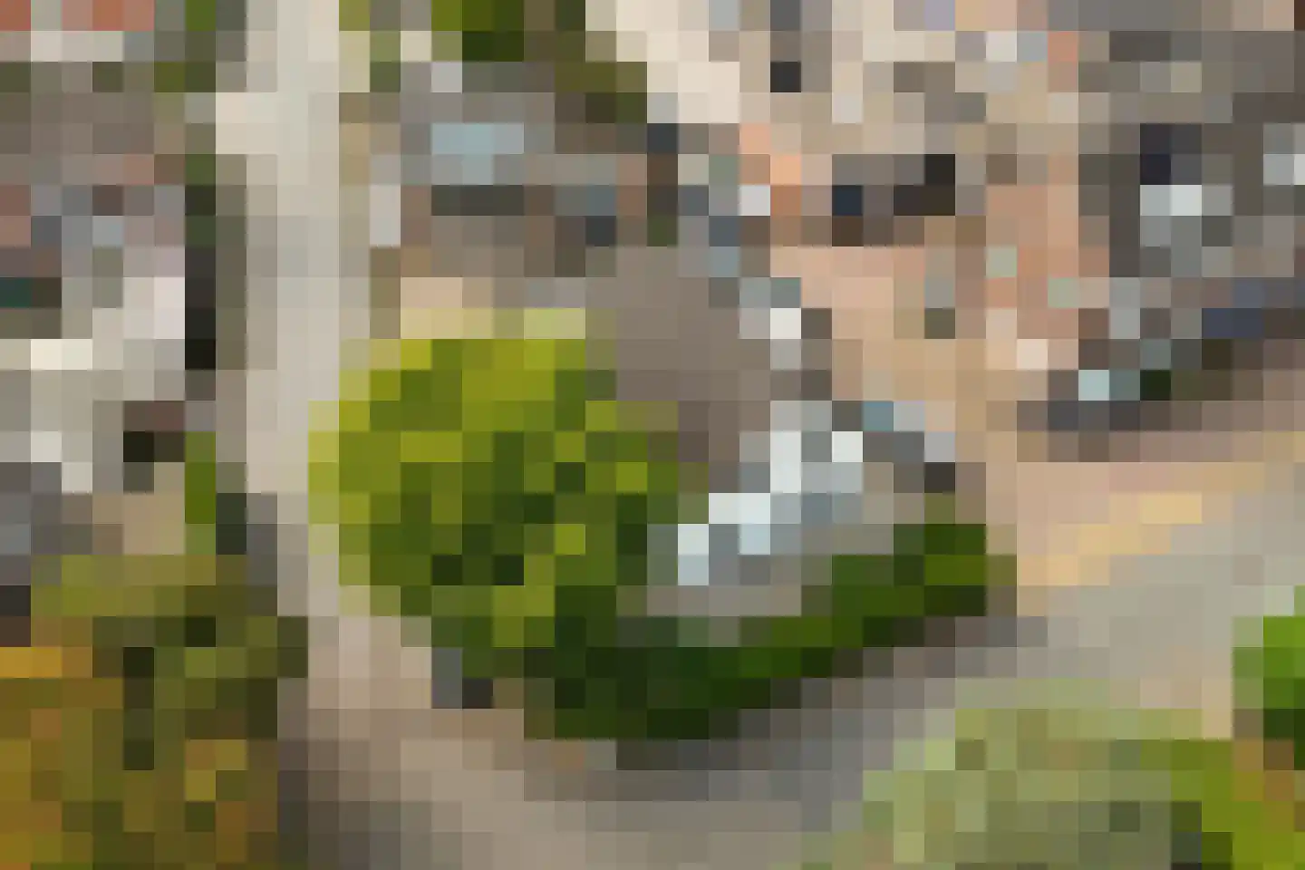 Molenweg 7 Oosterbeek thumbnail 39