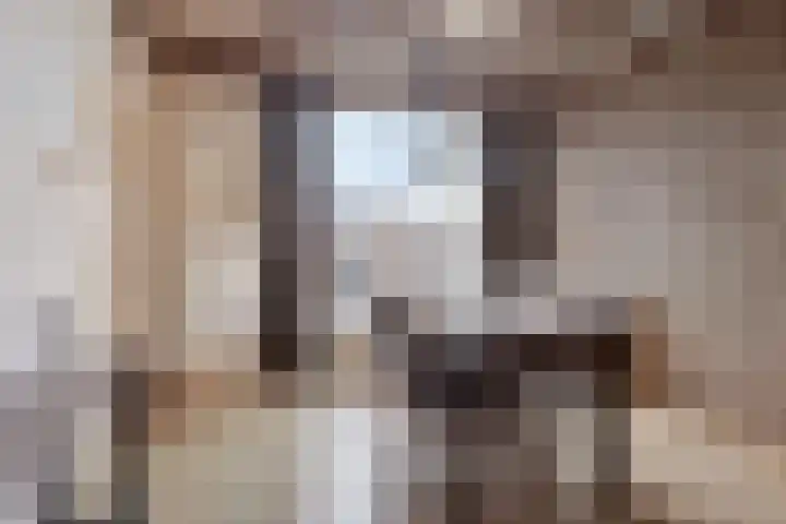 Molenweg 7 Steenbergen thumbnail 10