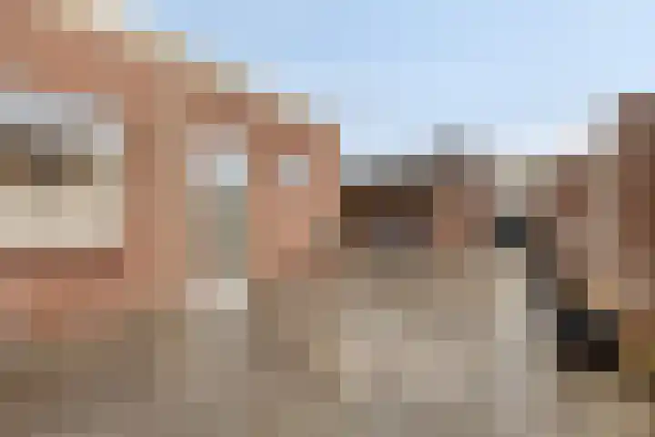 Molenweg 7 Steenbergen thumbnail 25