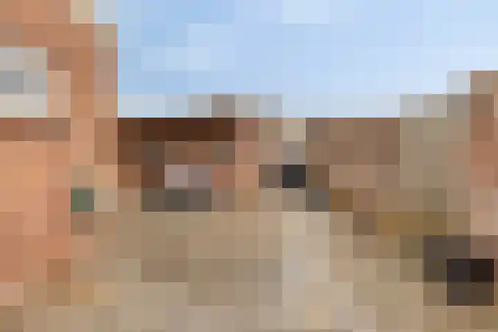 Molenweg 7 Steenbergen thumbnail 26