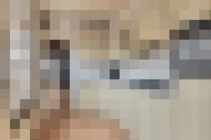 Molenweg 7 Steenbergen thumbnail 5