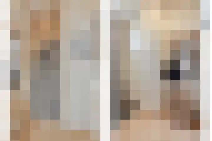 Molenweg 7 Steenbergen thumbnail 7