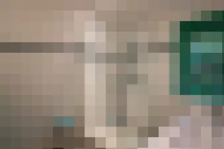 Molenweg 7 Westeremden thumbnail 18
