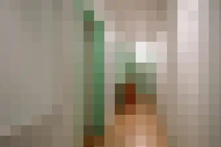 Molenweg 7 Westeremden thumbnail 25