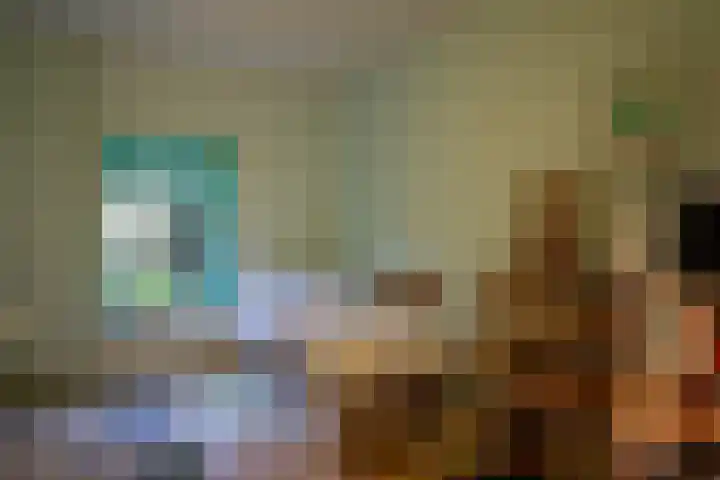 Molenweg 7 Westeremden thumbnail 27