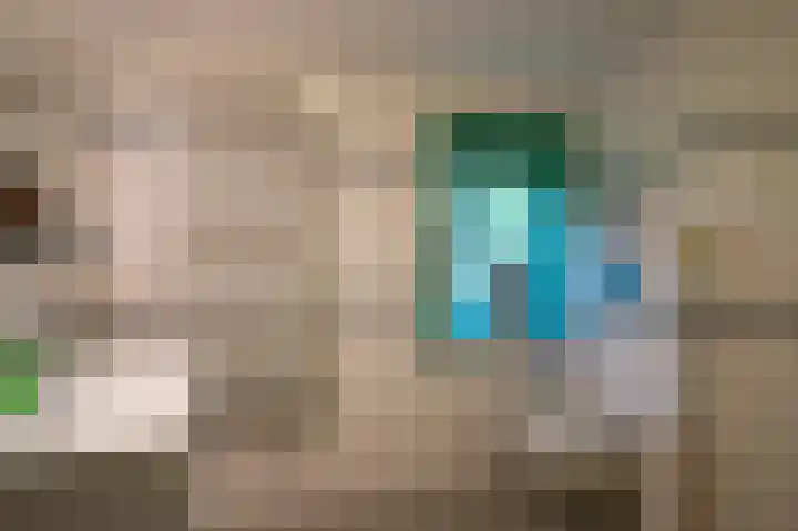 Molenweg 7 Westeremden thumbnail 29