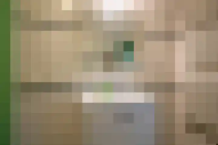 Molenweg 7 Westeremden thumbnail 31