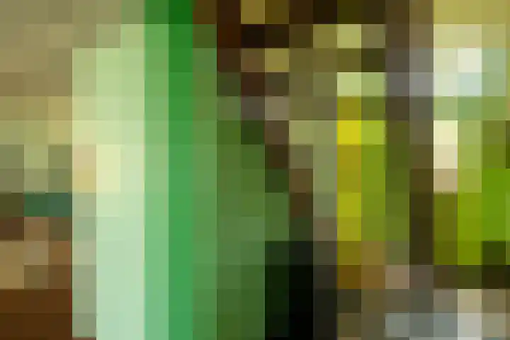 Molenweg 7 Westeremden thumbnail 32