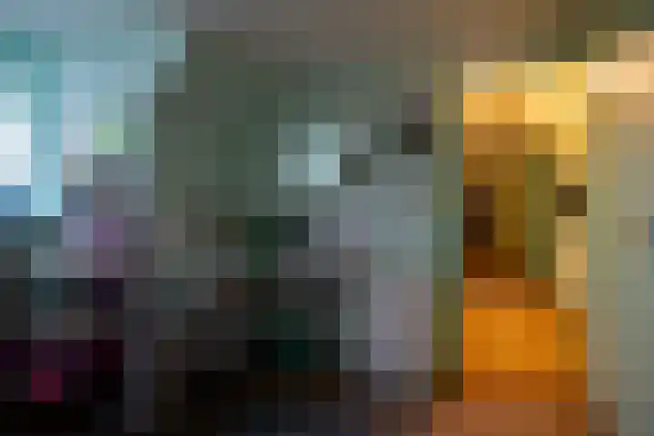 Molenweg 7 Westeremden thumbnail 36