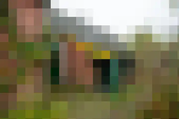 Molenweg 7 Westeremden thumbnail 42