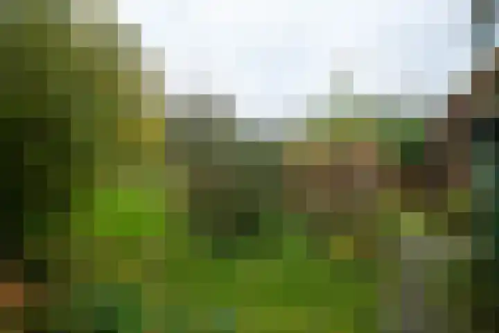 Molenweg 7 Westeremden thumbnail 44