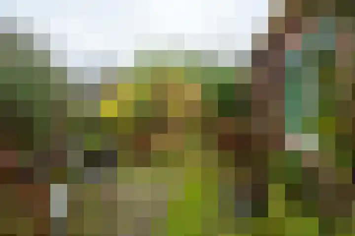 Molenweg 7 Westeremden thumbnail 45