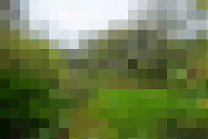 Molenweg 7 Westeremden thumbnail 46