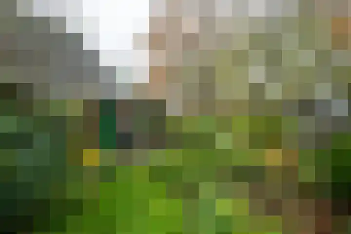 Molenweg 7 Westeremden thumbnail 47