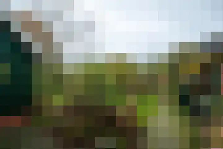 Molenweg 7 Westeremden thumbnail 48