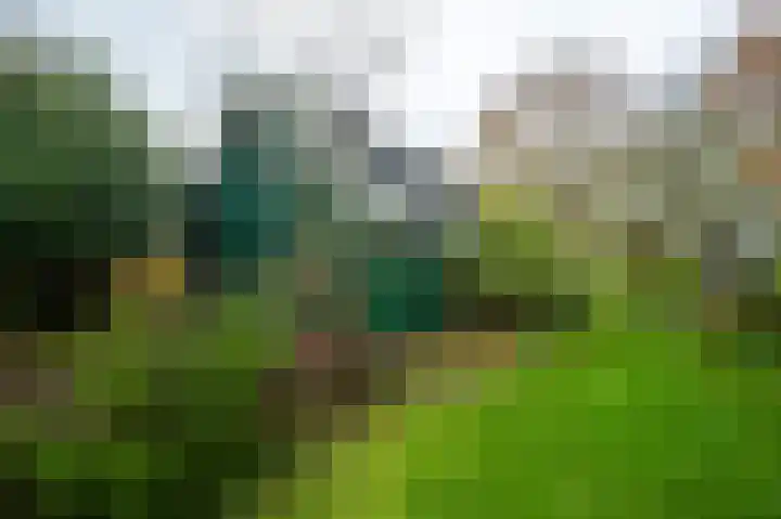 Molenweg 7 Westeremden thumbnail 49