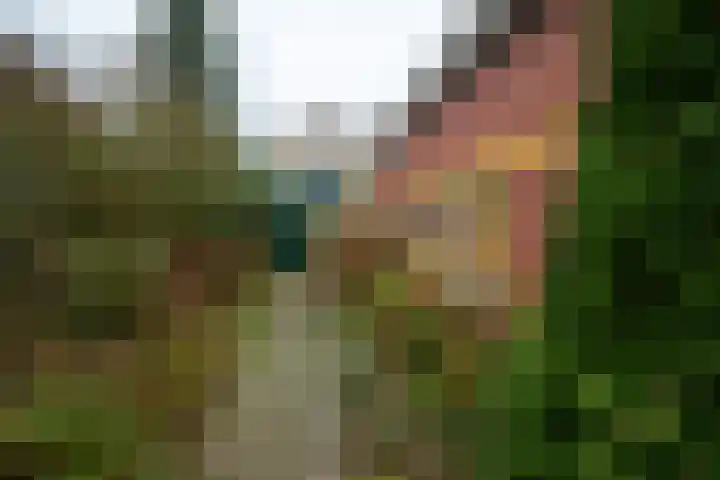 Molenweg 7 Westeremden thumbnail 50