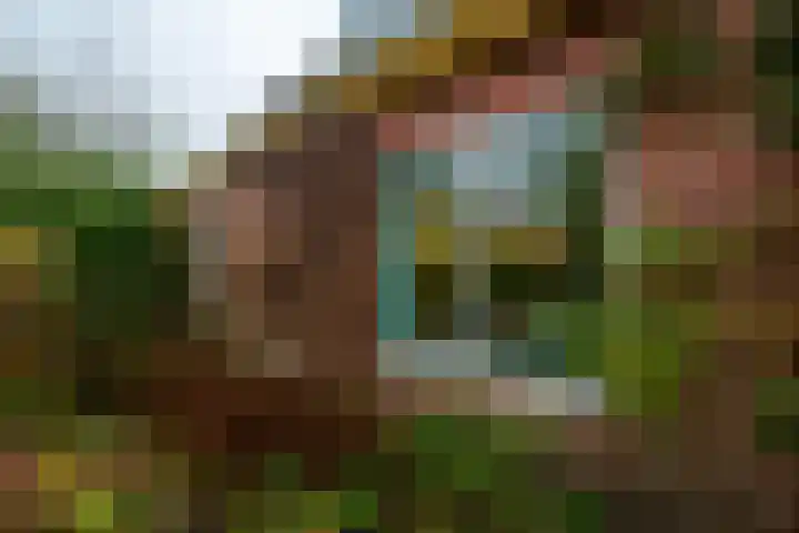 Molenweg 7 Westeremden thumbnail 51