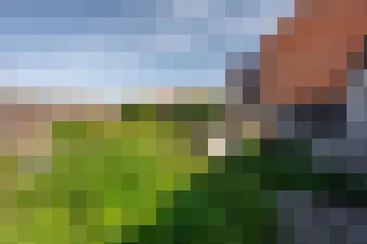 Molenweg 7 Zoutelande thumbnail 10