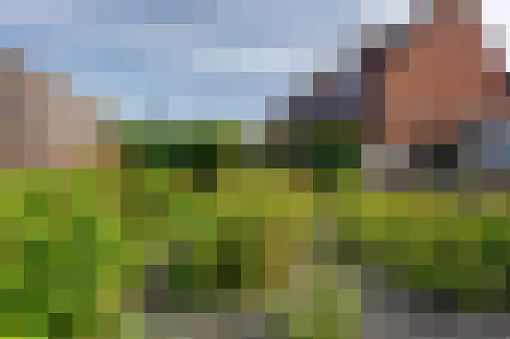 Molenweg 7 Zoutelande thumbnail 11