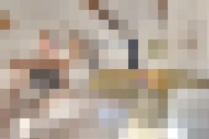 Molenweg 7 Zoutelande thumbnail 12
