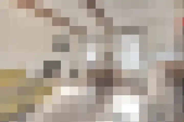 Molenweg 7 Zoutelande thumbnail 13