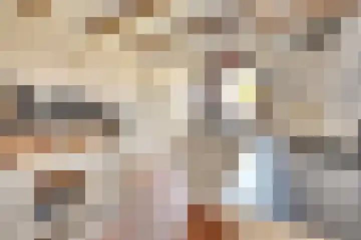Molenweg 7 Zoutelande thumbnail 15